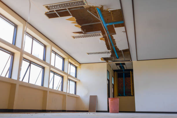 Best Carpet water damage restoration  in Atlantic Beach, NY