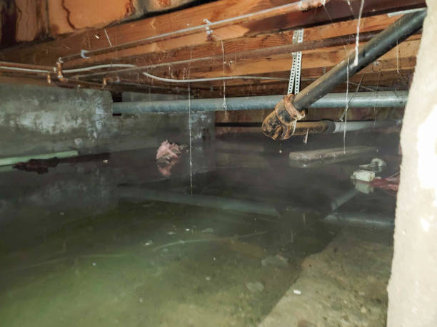 Best Emergency water damage restoration  in Atlantic Beach, NY