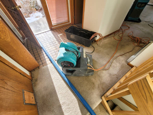 Best Flood damage cleanup  in Atlantic Beach, NY