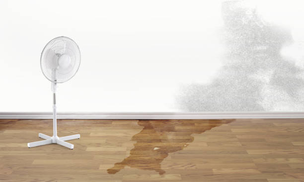 Best Water damage cleanup near me  in Atlantic Beach, NY
