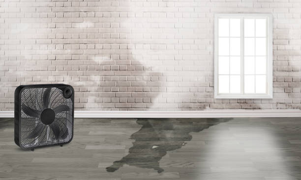 Best Water damage repair service  in Atlantic Beach, NY