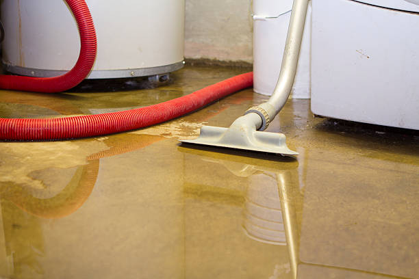 Best Water damage cleanup near me  in Atlantic Beach, NY