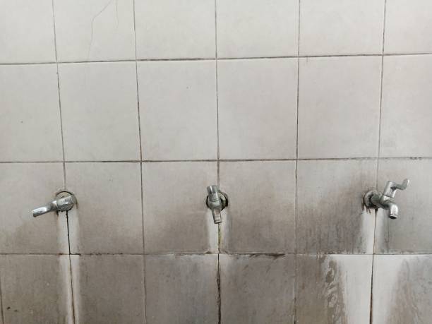  Atlantic Beach, NY Water damage restoration Pros
