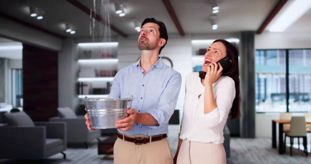 Best Basement water damage restoration  in Atlantic Beach, NY