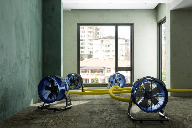 Best 24-hour water damage restoration  in Atlantic Beach, NY